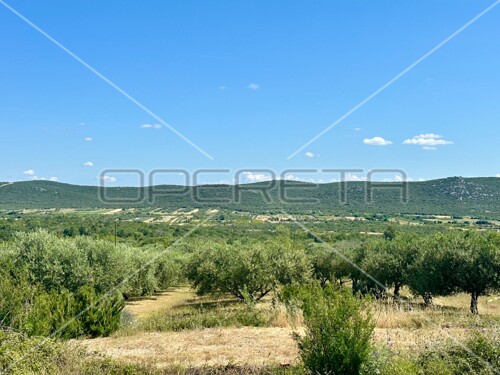 Poljoprivredno zemljište idealno za agroturizam, Dazlina, 45.000 m2