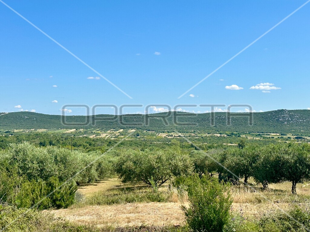 Image 6158957 - 2