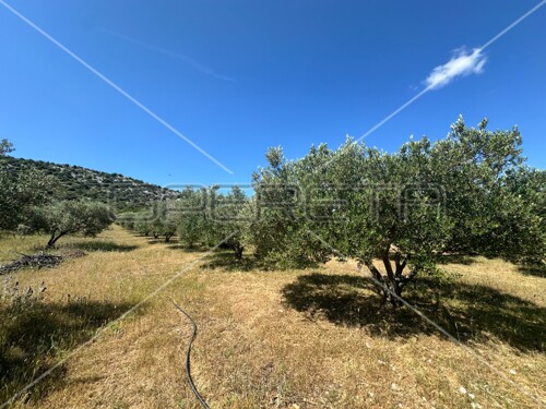 Thumbnail 6158957 - 8