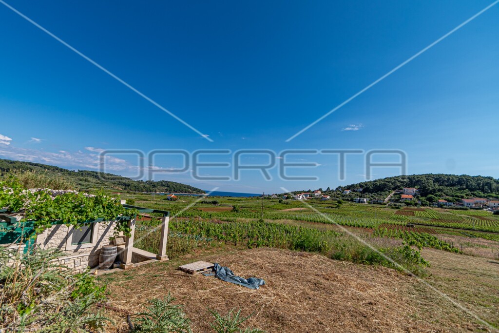 Image 6158959 - 11