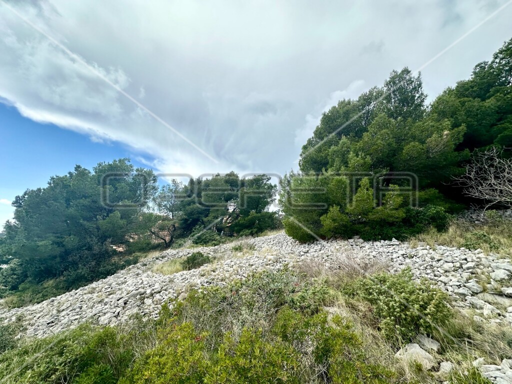 Image 6158962 - 4