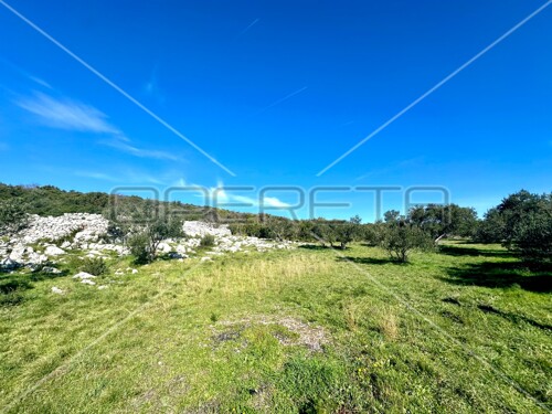 Thumbnail 6158964 - 11