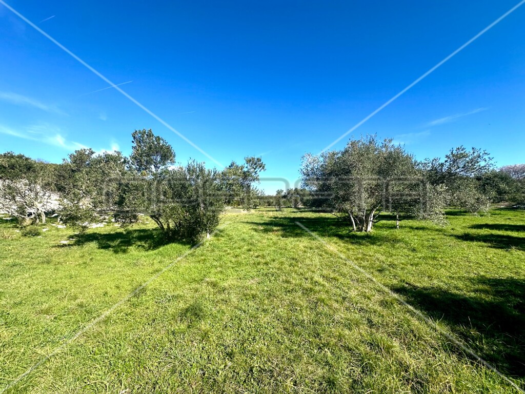 Image 6158964 - 4