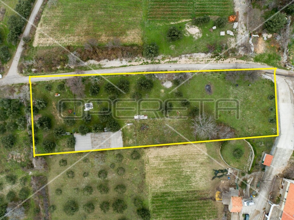 Image 6158966 - 6