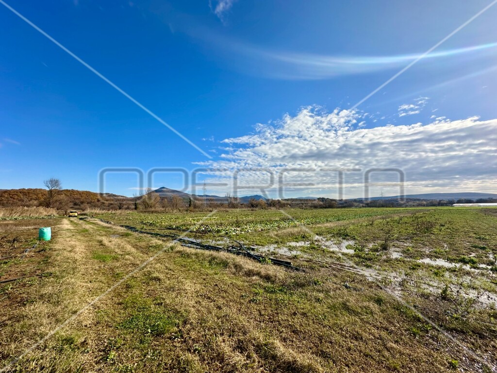 Image 6158970 - 3
