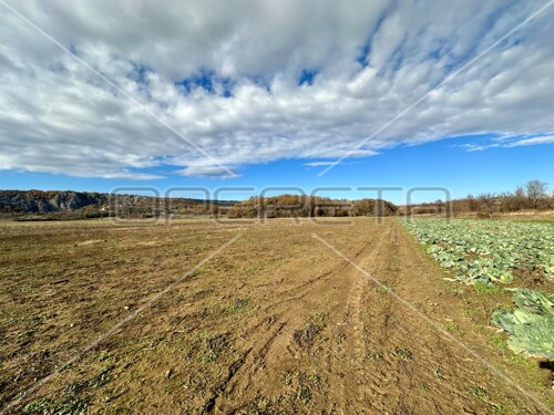 Thumbnail 6158970 - 4