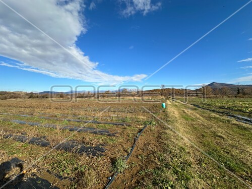 Thumbnail 6158970 - 8