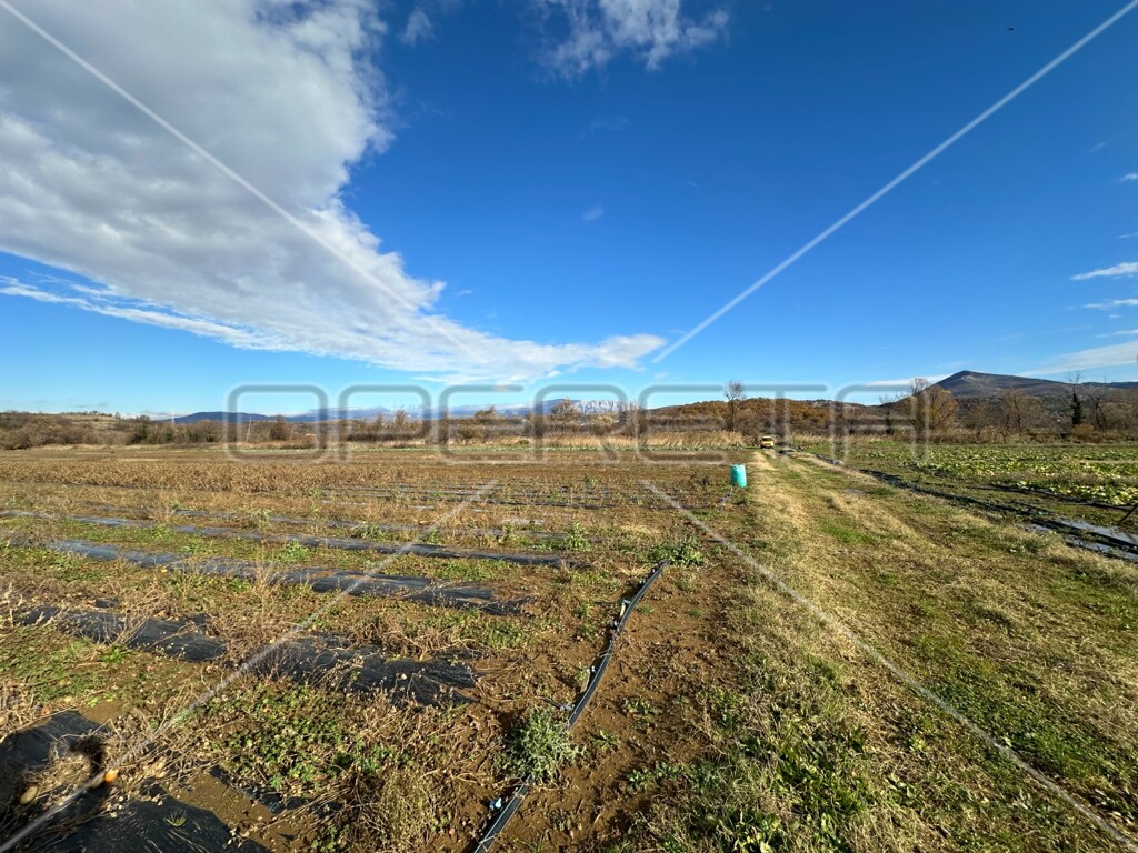 Image 6158970 - 8