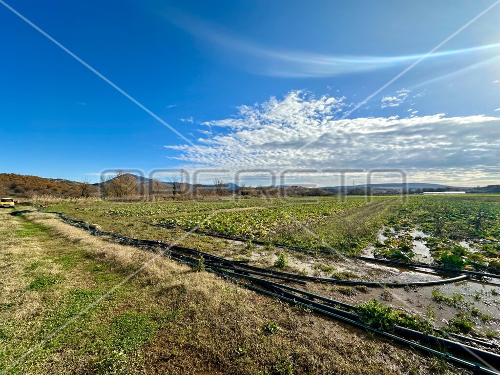 Image 6158970 - 1