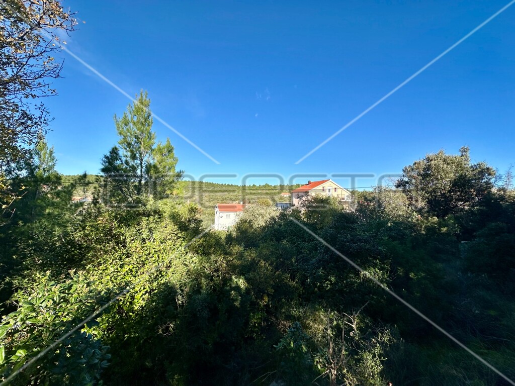Image 6158971 - 2