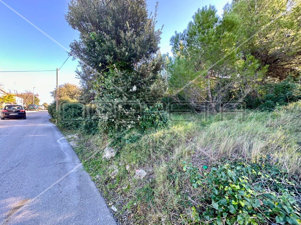 Image 6158971 - 1