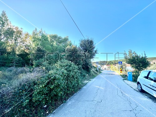 Thumbnail 6158971 - 4