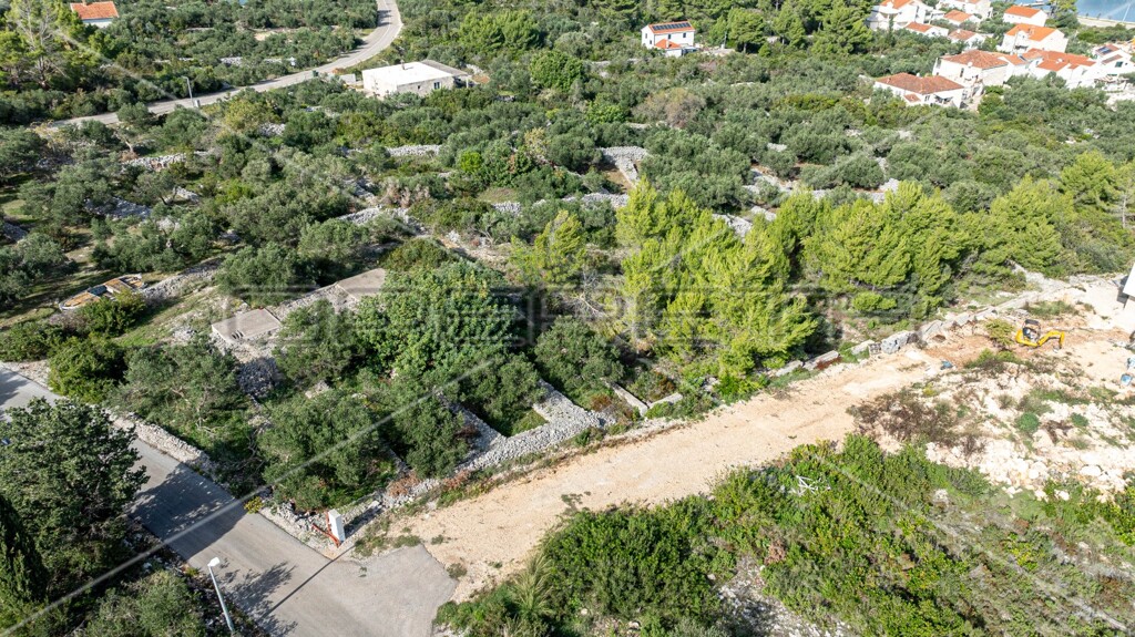 Image 6158976 - 12