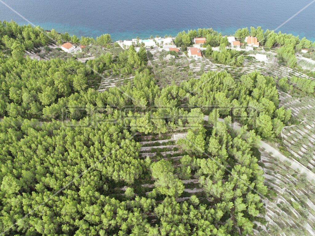 Image 6158977 - 16