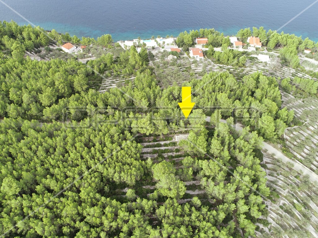 Image 6158977 - 3