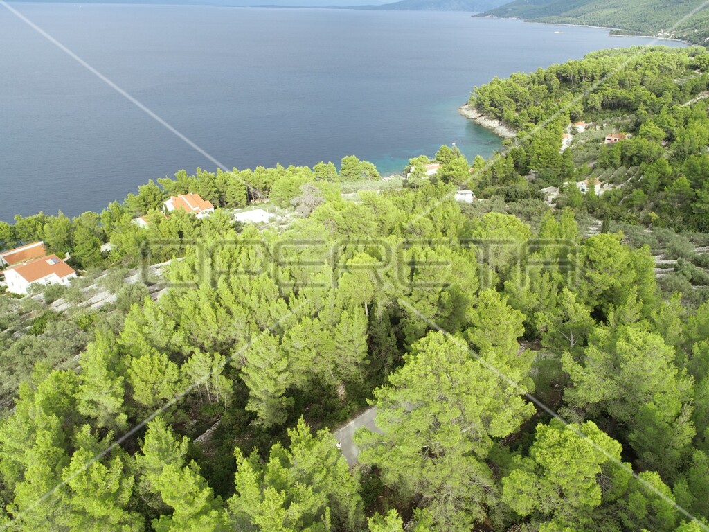 Image 6158977 - 23