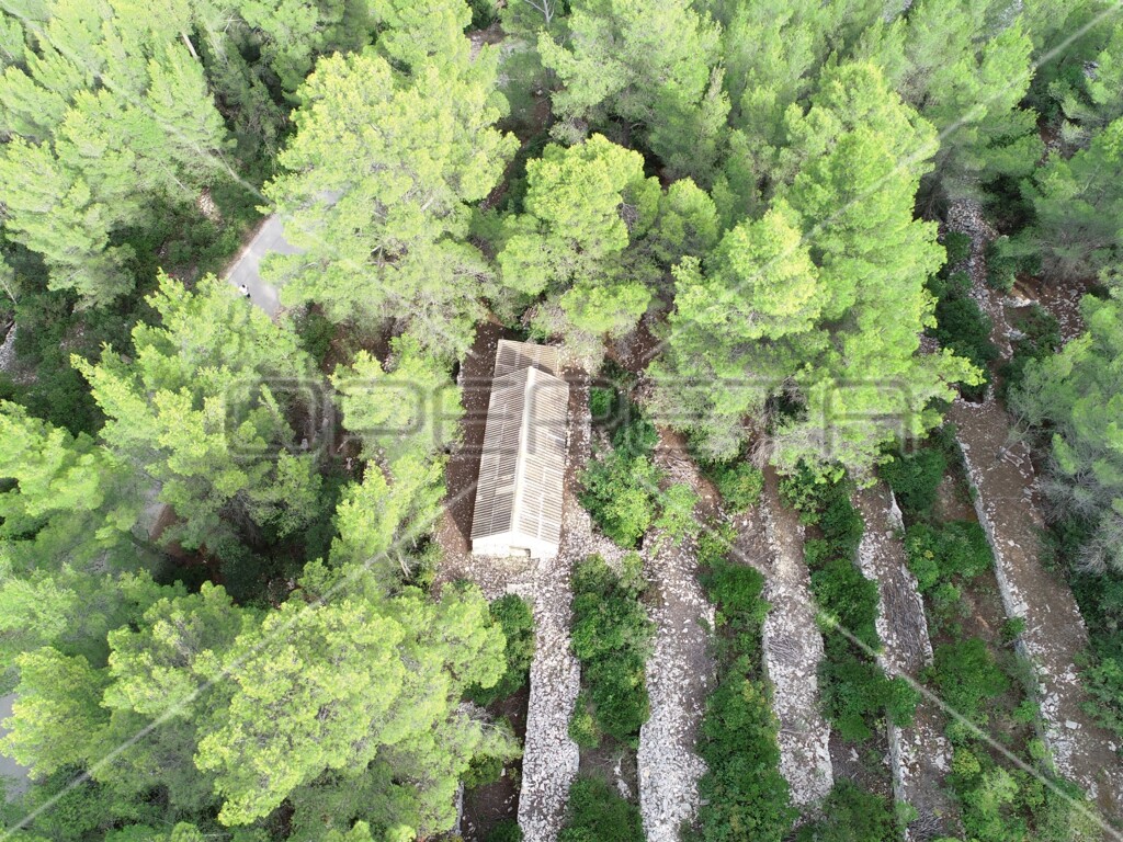 Image 6158977 - 12