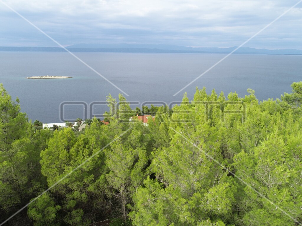 Image 6158977 - 22