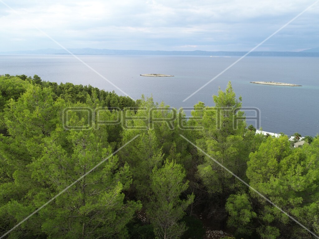 Image 6158977 - 21