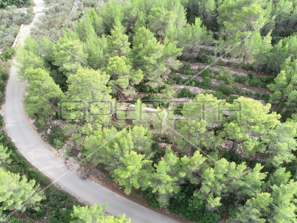 Image 6158977 - 15
