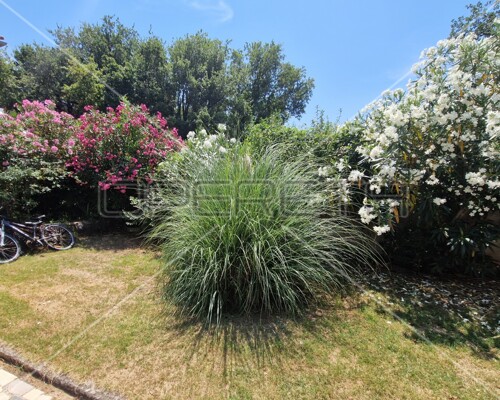 Thumbnail 6158996 - 7