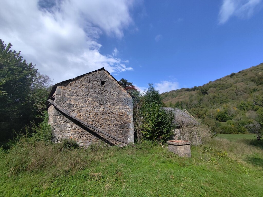 Image 6159244 - 12
