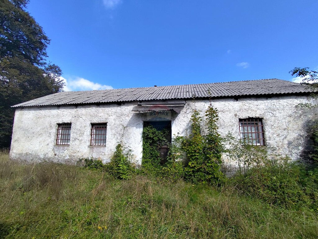 Image 6159244 - 6