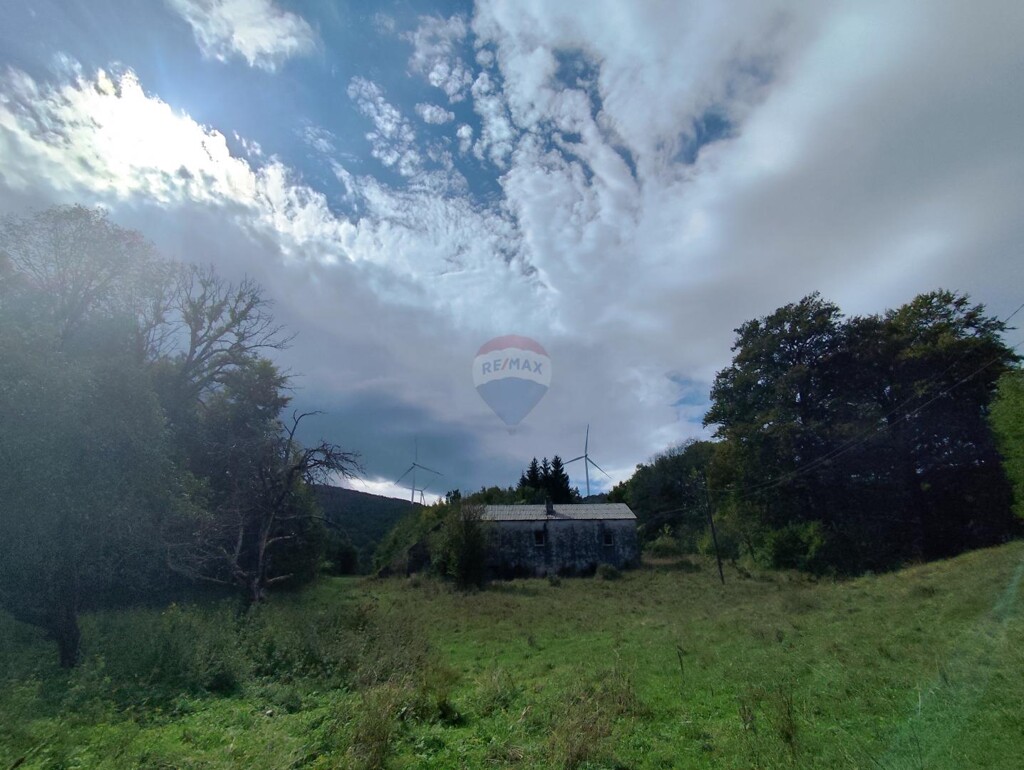 Image 6159244 - 2
