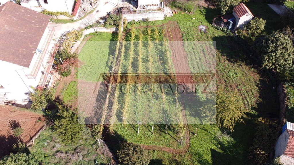 Image 6159618 - 7