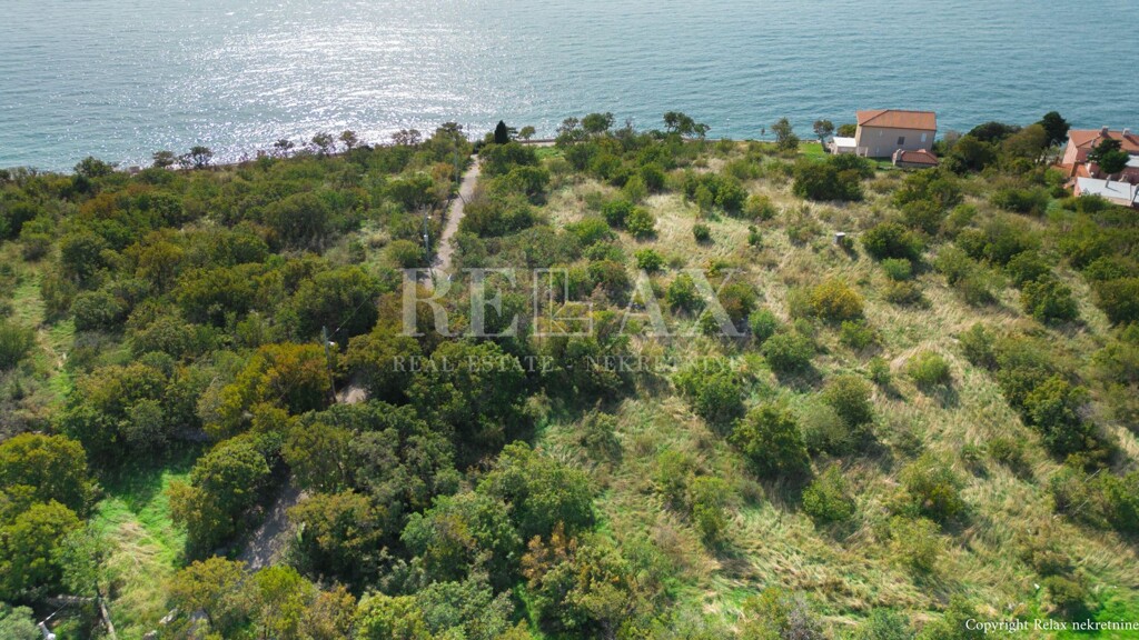 Image 6159634 - 13