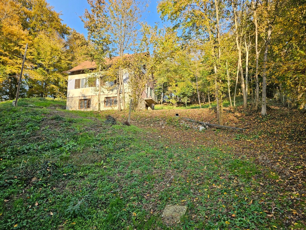 Image 6159637 - 5