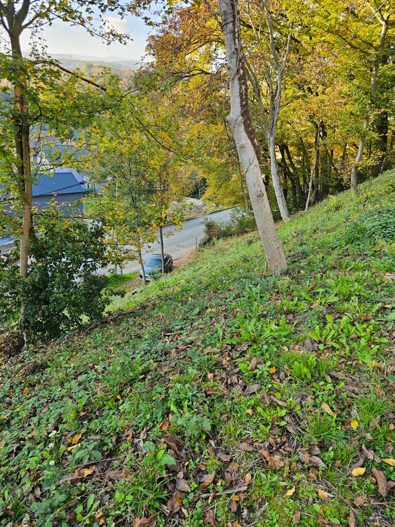 Image 6159637 - 6