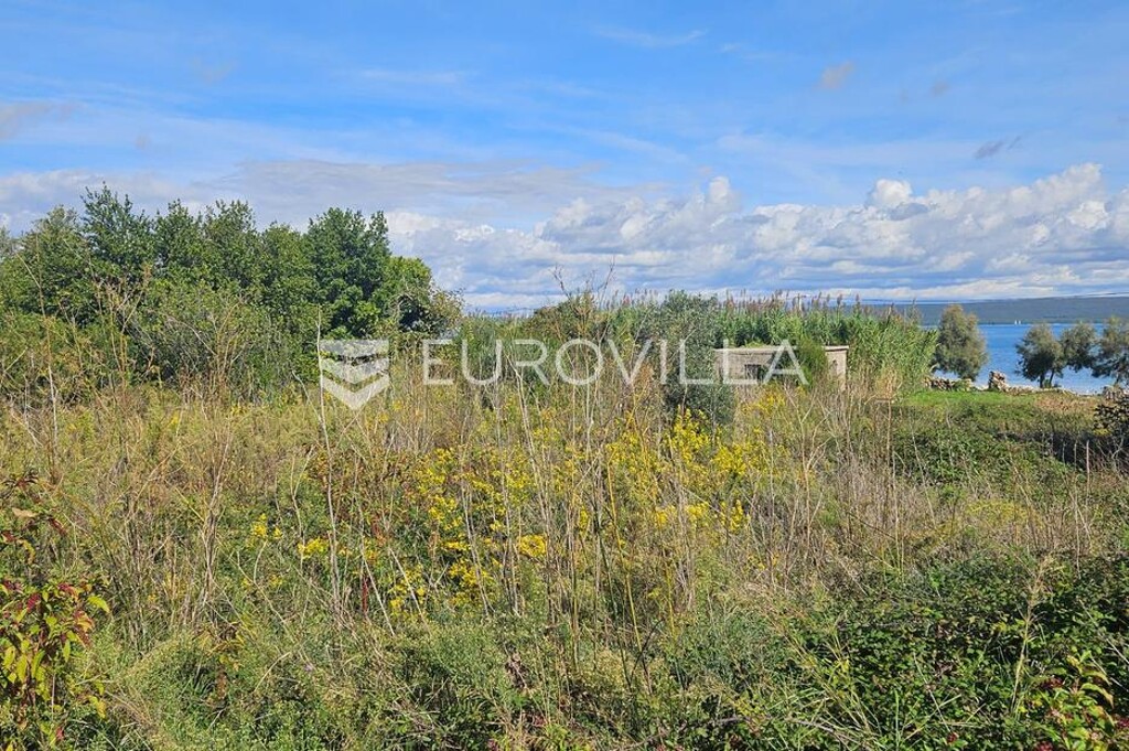 Image 6160009 - 2