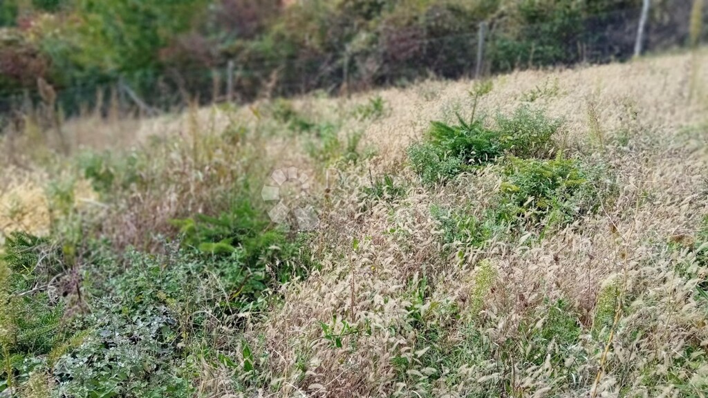 Image 6160026 - 2