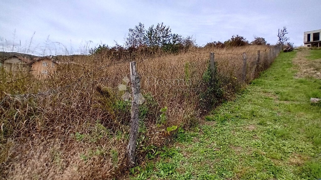 Image 6160026 - 1