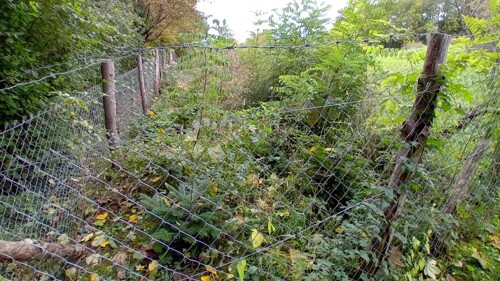 Thumbnail 6160026 - 7