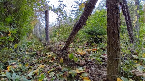 Thumbnail 6160026 - 6