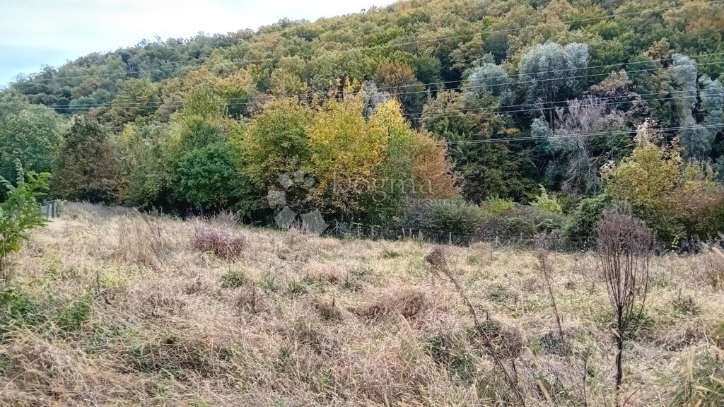 Image 6160026 - 4