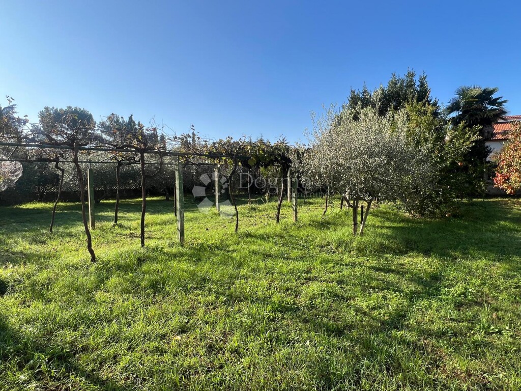 Image 6160048 - 4