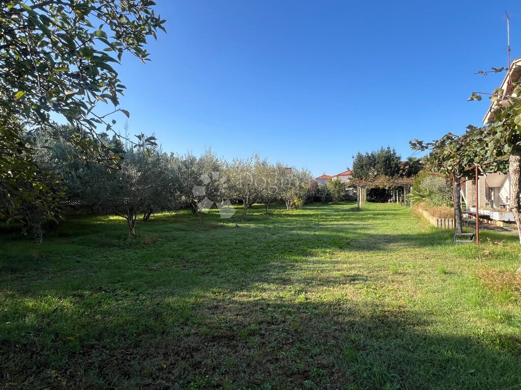 Image 6160048 - 6