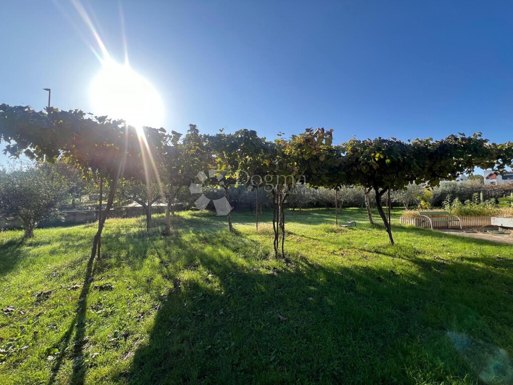 Image 6160048 - 5