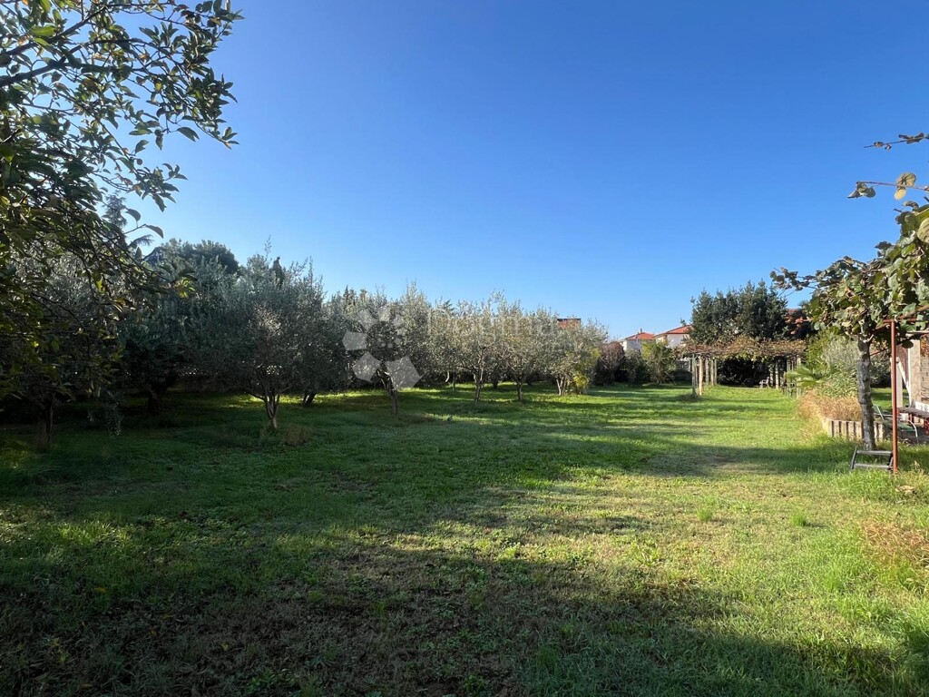 Image 6160048 - 1