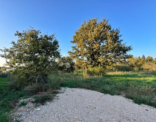 Thumbnail 6160054 - 3