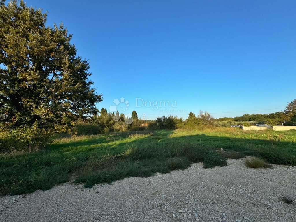 Image 6160054 - 1