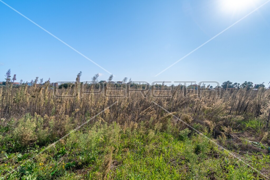 Image 6160083 - 2