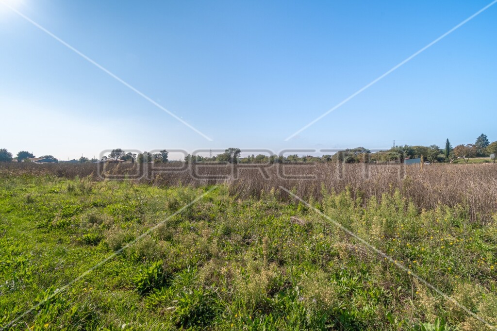 Image 6160084 - 10