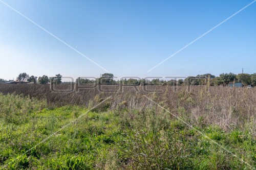 Thumbnail 6160084 - 5