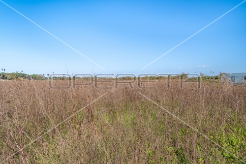 Thumbnail 6160084 - 9