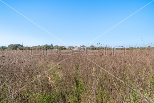 Thumbnail 6160084 - 8