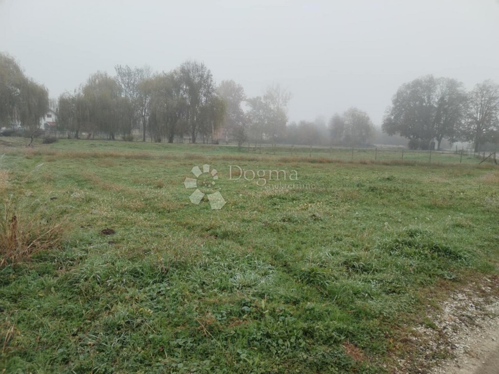 Image 6162535 - 1